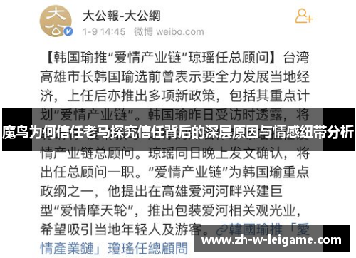 魔鸟为何信任老马探究信任背后的深层原因与情感纽带分析