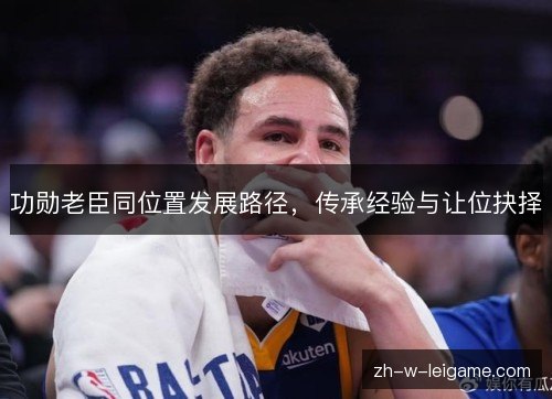 功勋老臣同位置发展路径,传承经验与让位抉择 功勋老臣同位置发展路径,传承经验与让位抉择